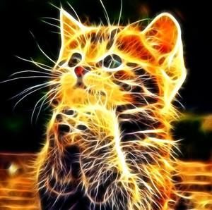 Meet your Posher, Norma